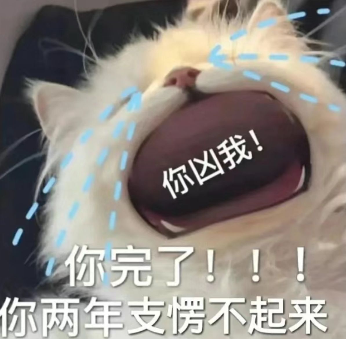 久恩:呜呜呜......笨雾霭这样骂我q~q