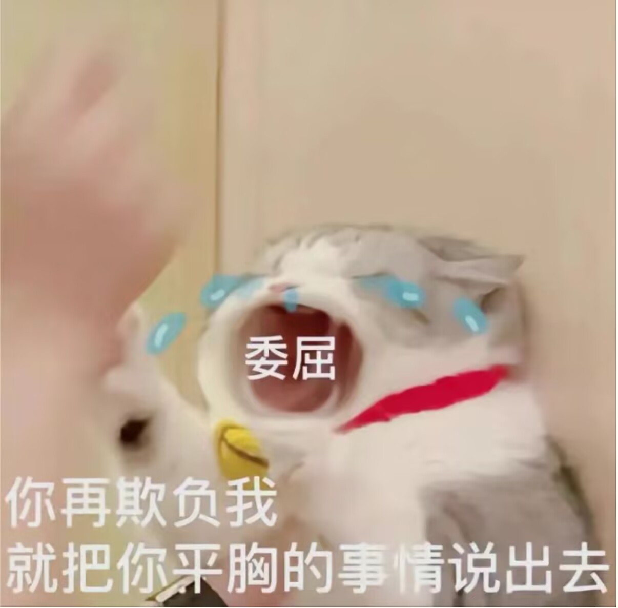 久恩:笨雾霭笨钢板笨憨宝qwq